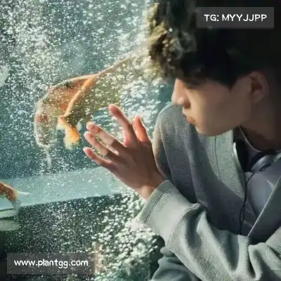 鲍柳泓